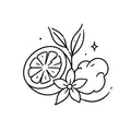 Fresh Citrus & Soft Musk
